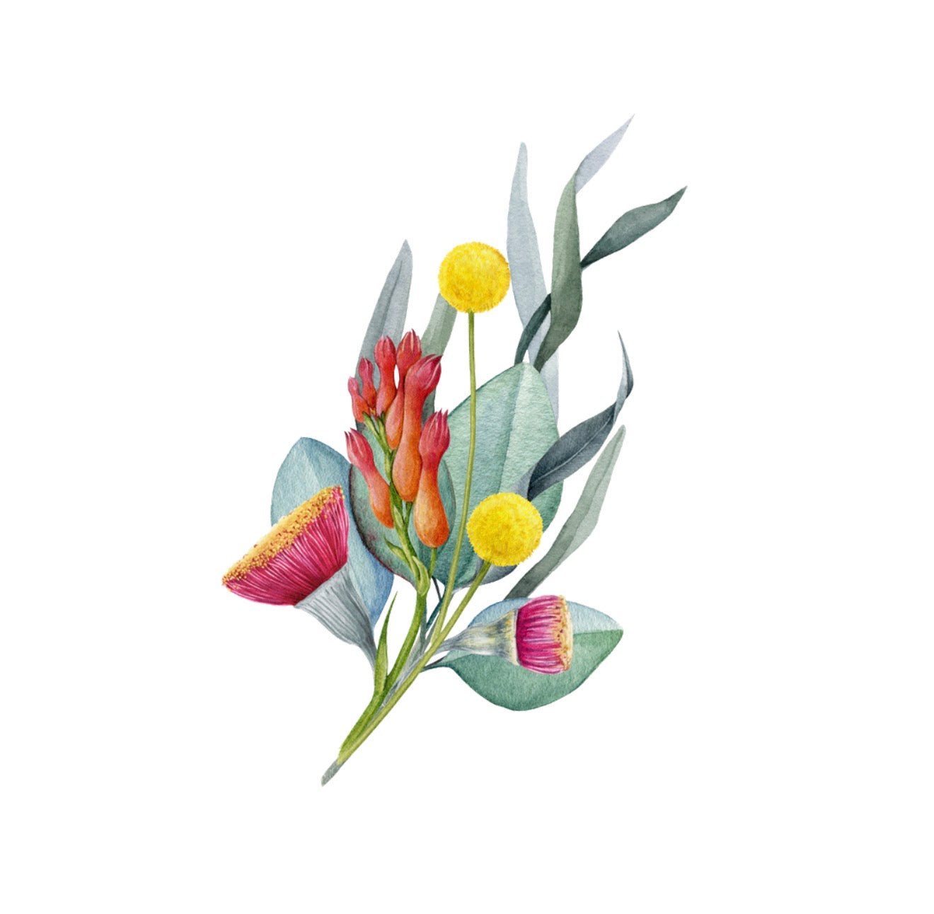 Australian Flora Cocktail Napkin