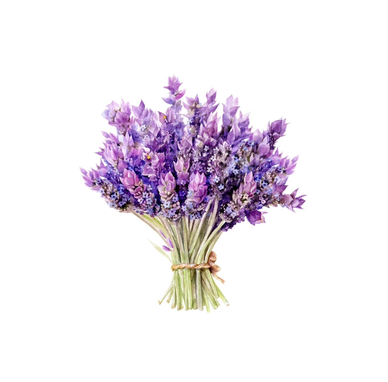 Lavender Bouquet Cocktail Napkin