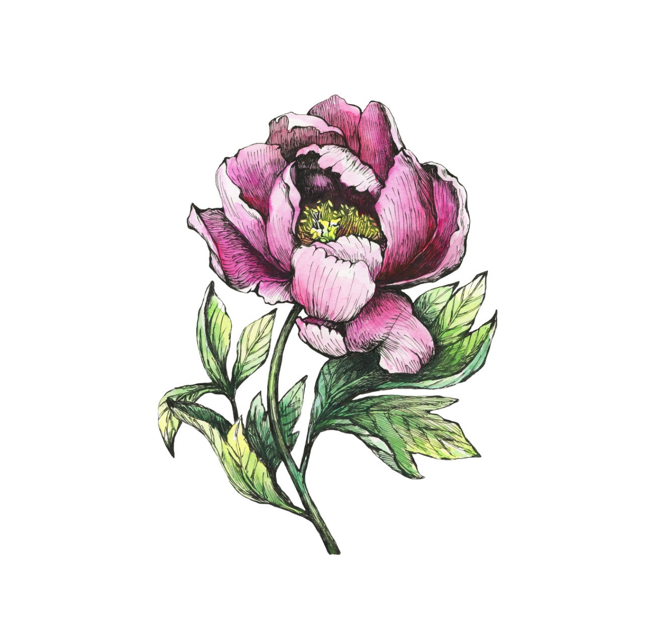 Shadow Peony Cocktail Napkin