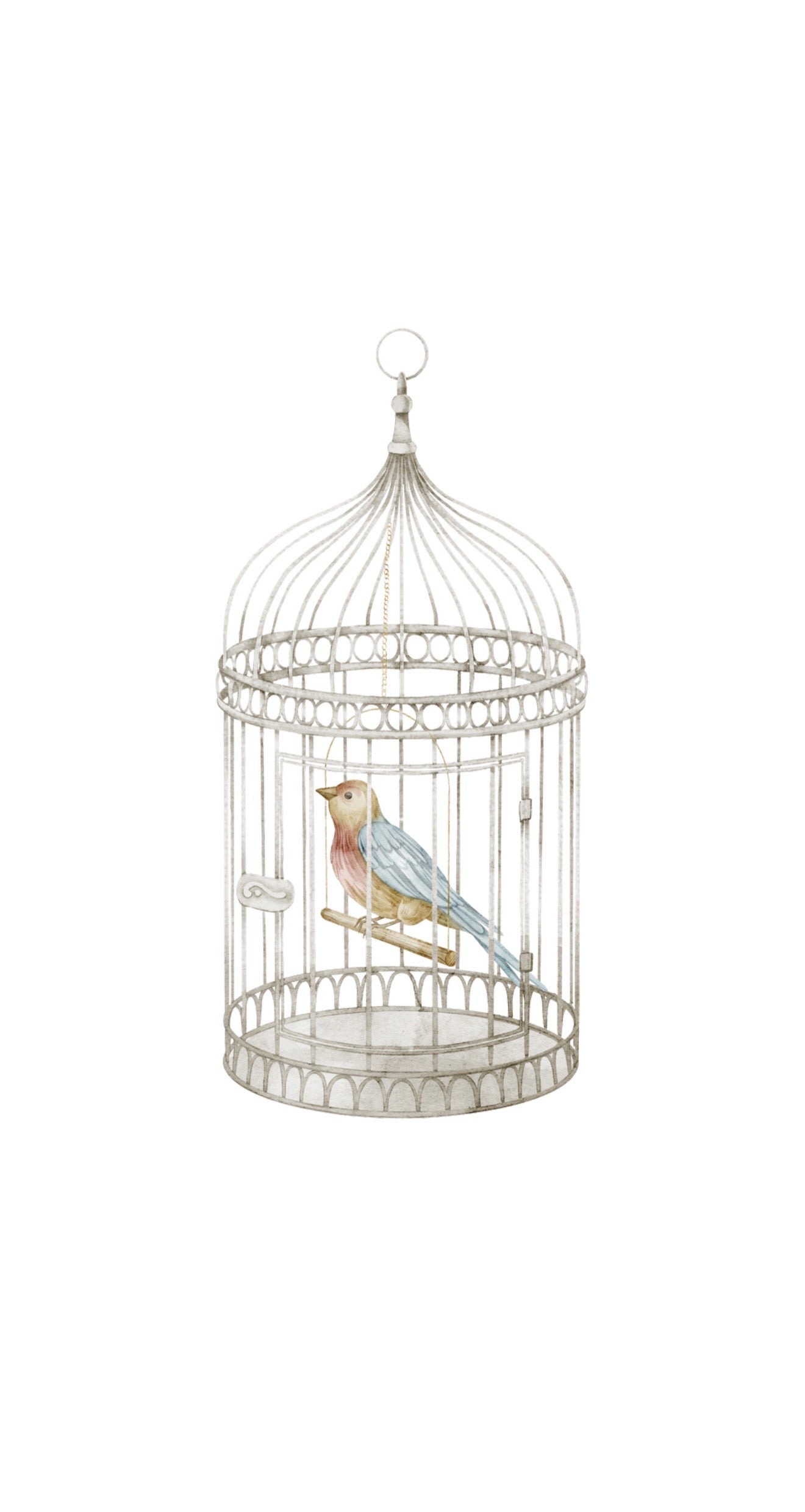 Song Bird - Printed Guest Towel