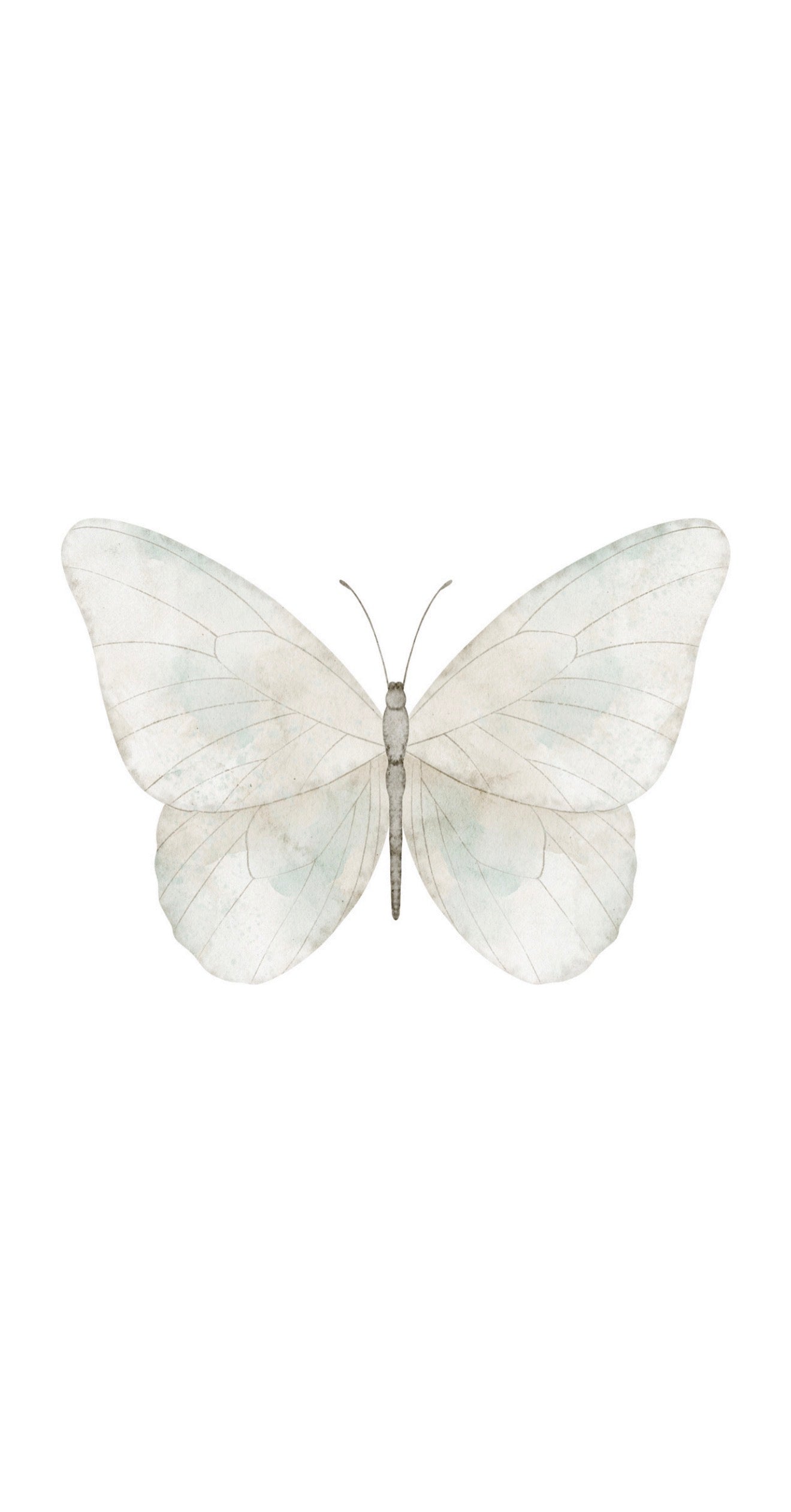 Soft Butterfly - Printed Guest Towel