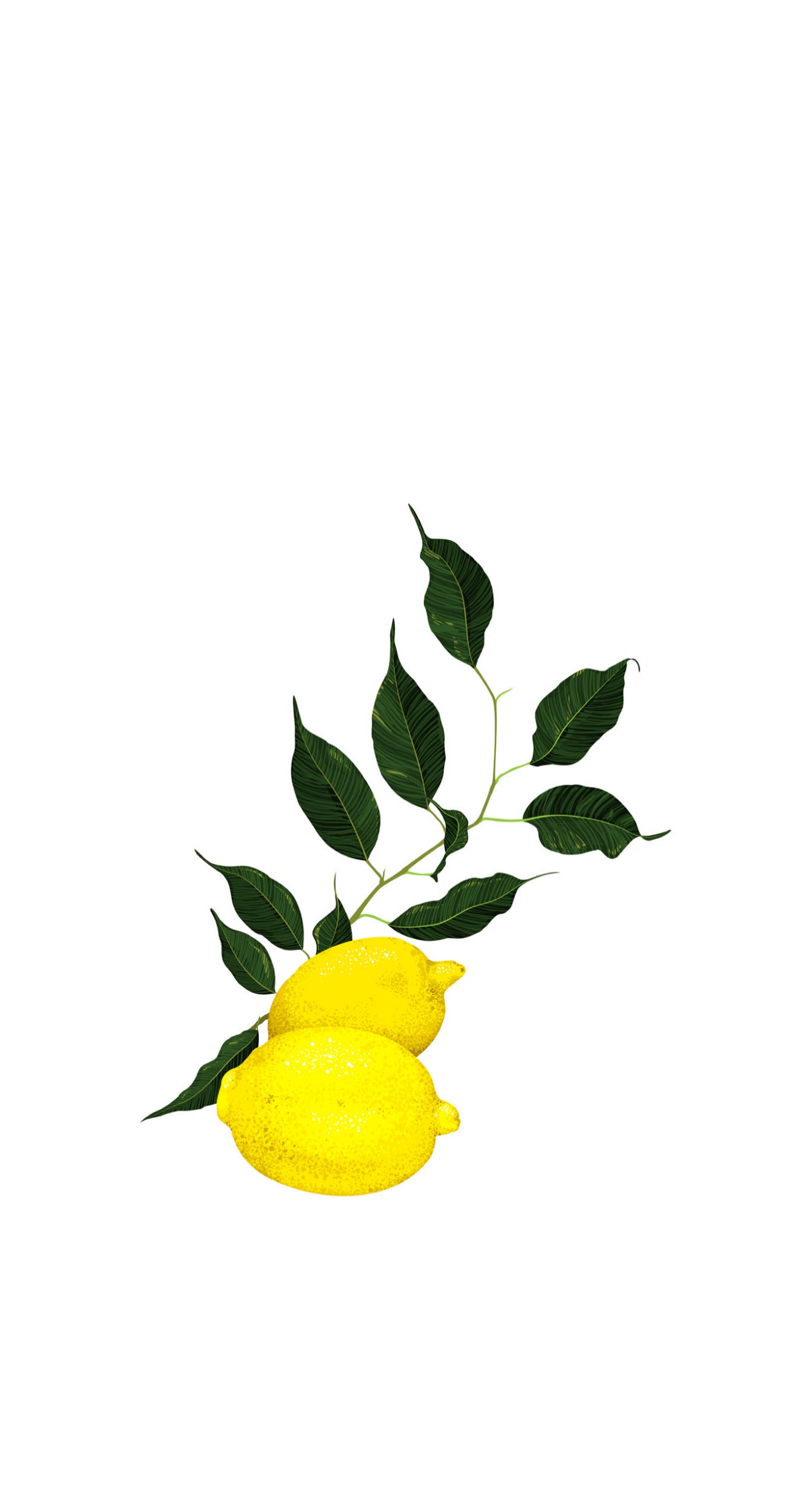 Lemon Leaves - Printed Guest Towel