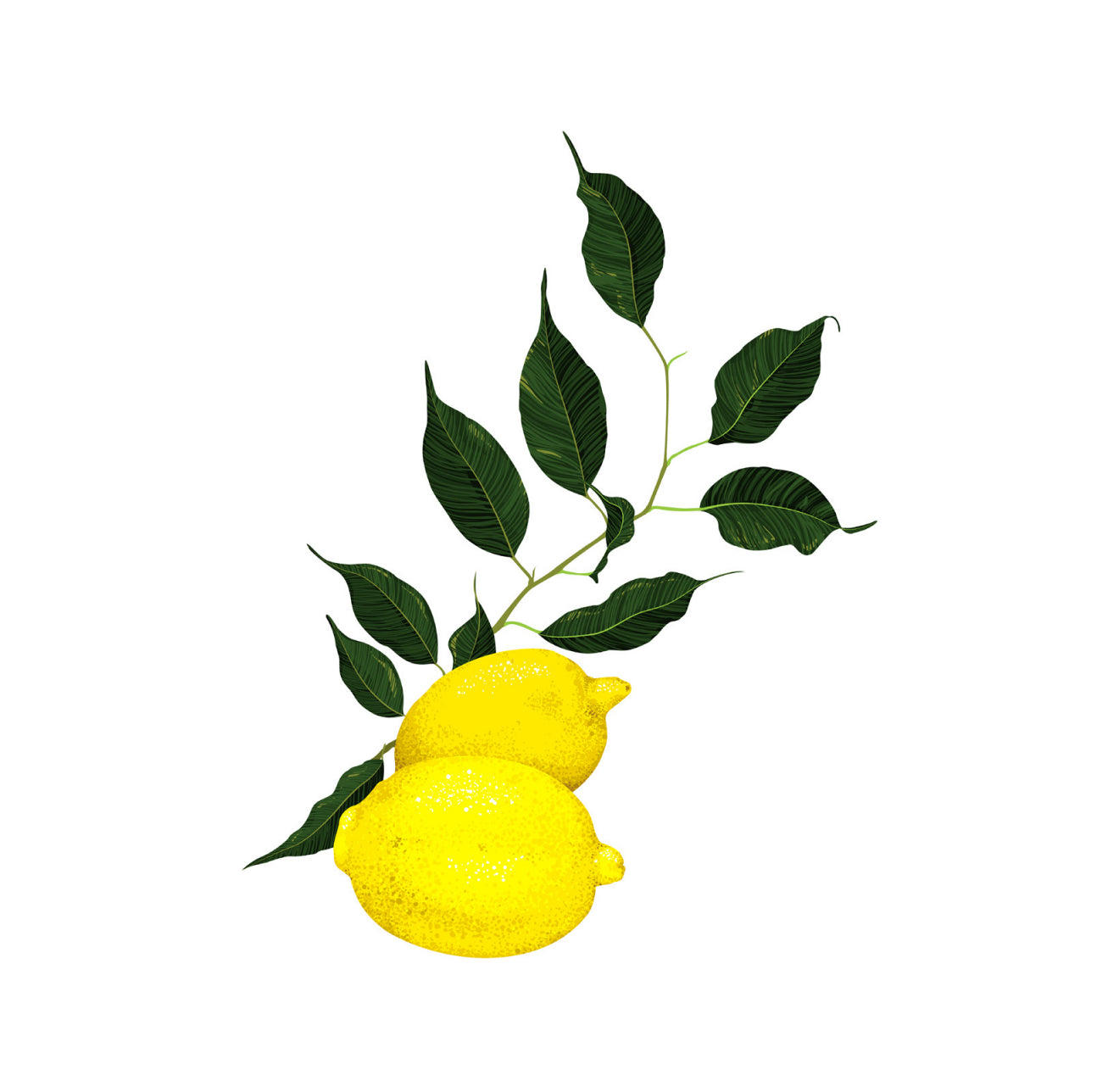 Lemon Leaves Cocktail Napkin