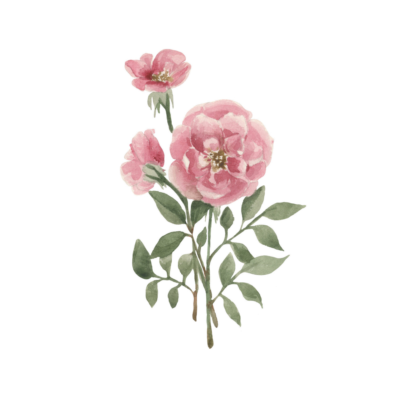Blush Roses Cocktail Napkin