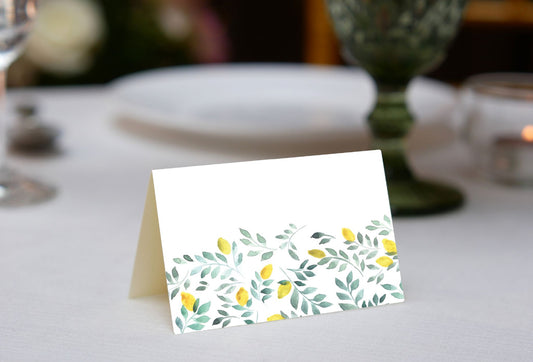 Lola Lemons Place Cards