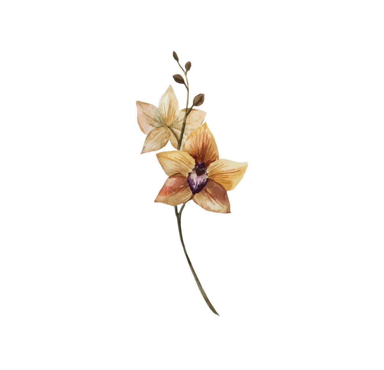 Solo Orchid Cocktail Napkin