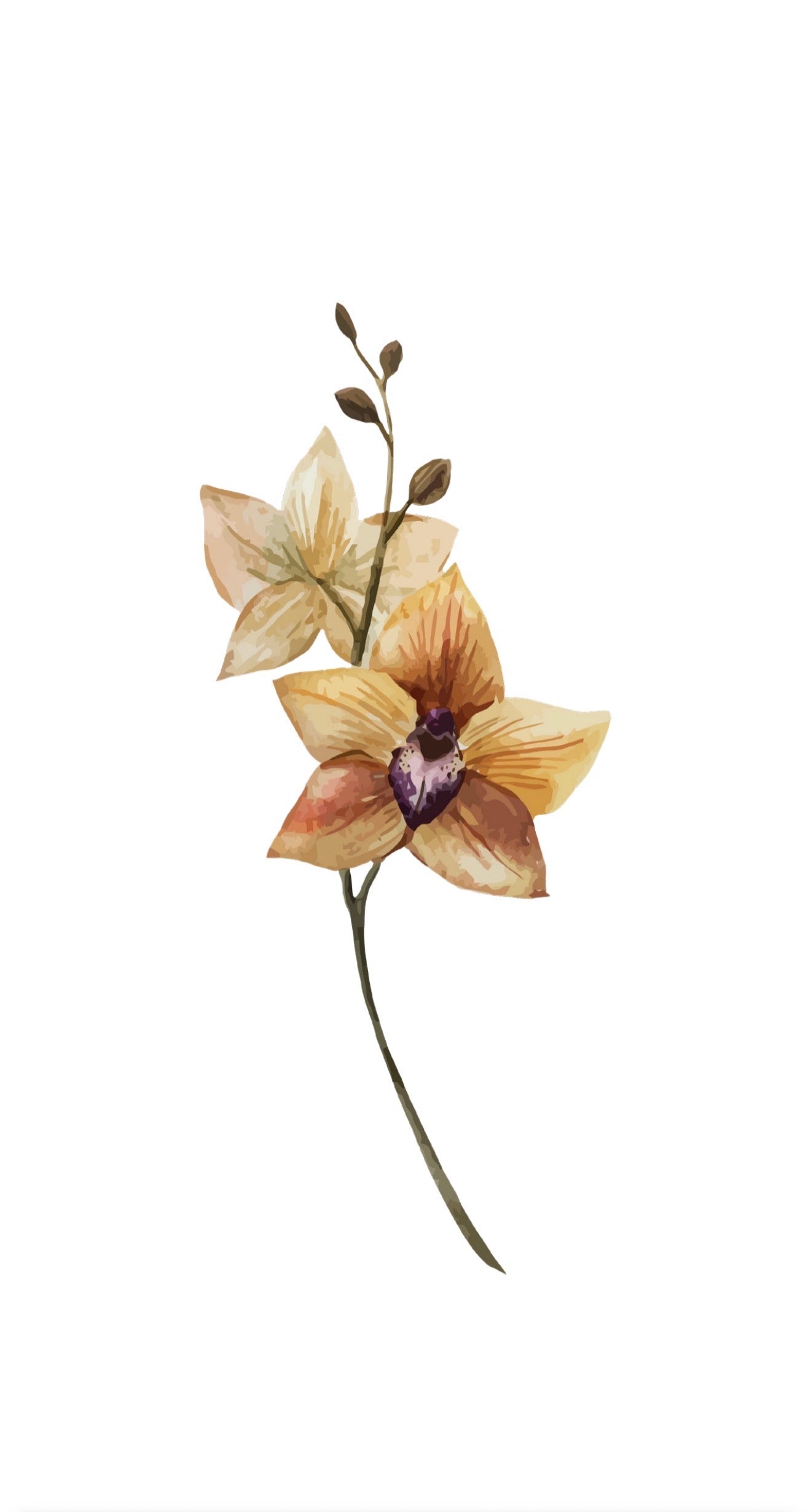 Solo Orchid - Printed Guest Towel
