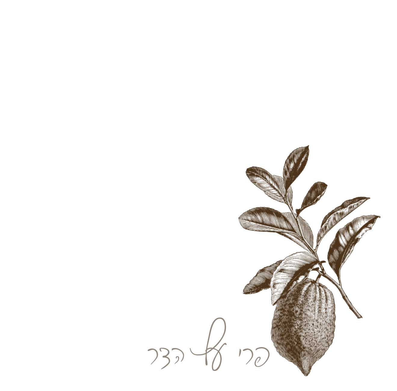 Tan Charcoal Esrog Cocktail Napkin