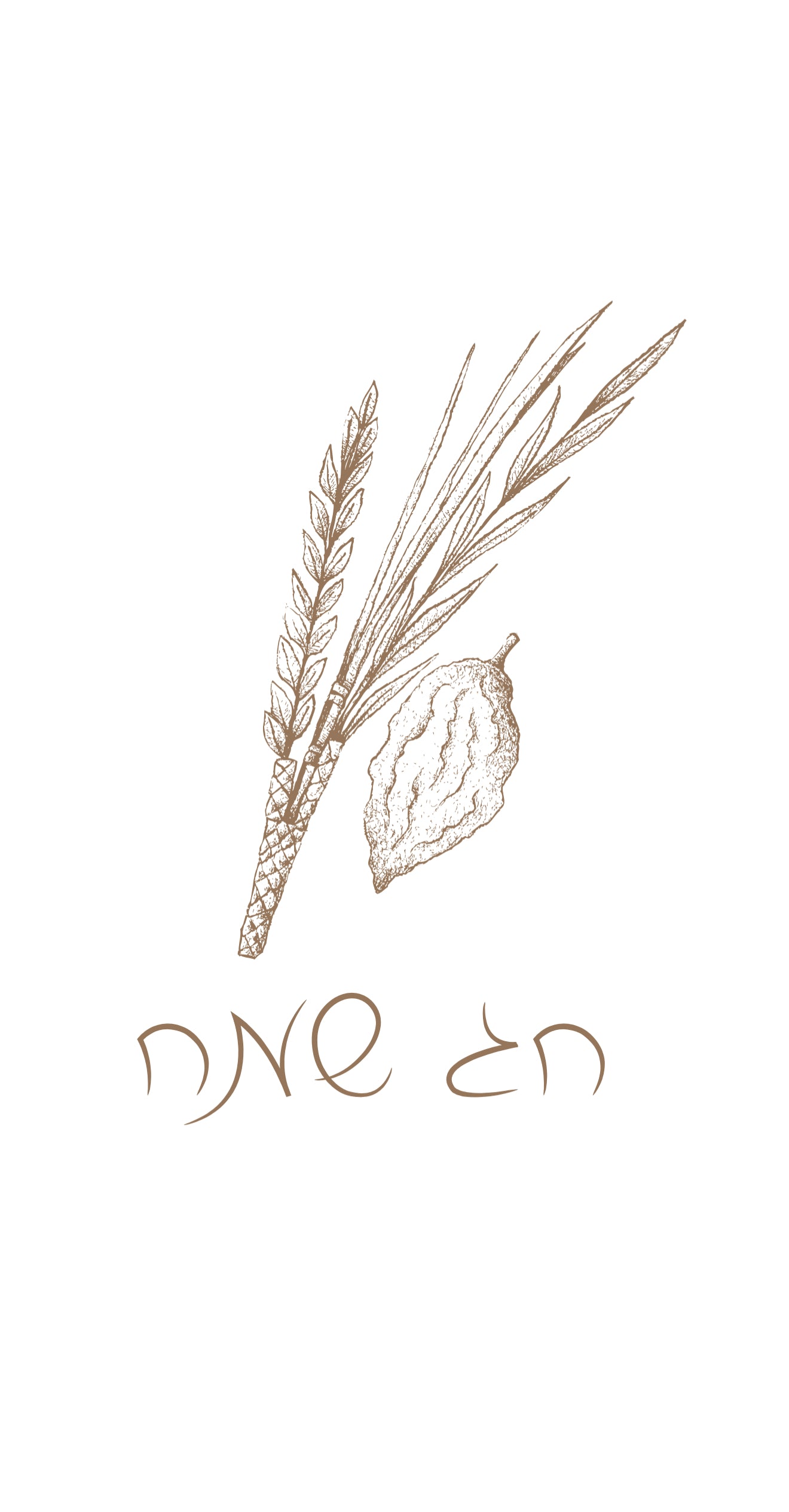 Tan Chag Sameach - Printed Guest Towel
