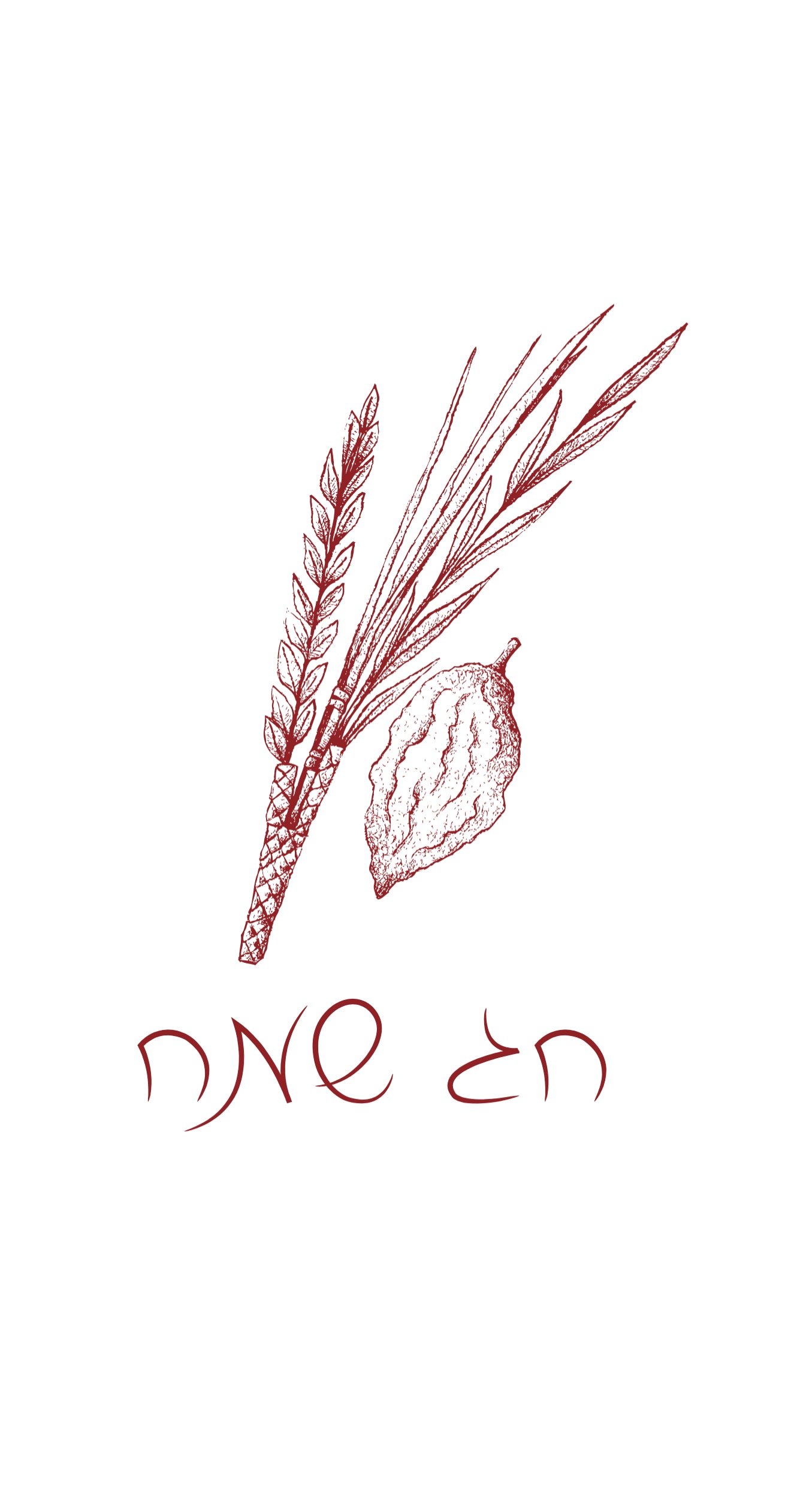 Maroon Chag Sameach - Printed Guest Towel