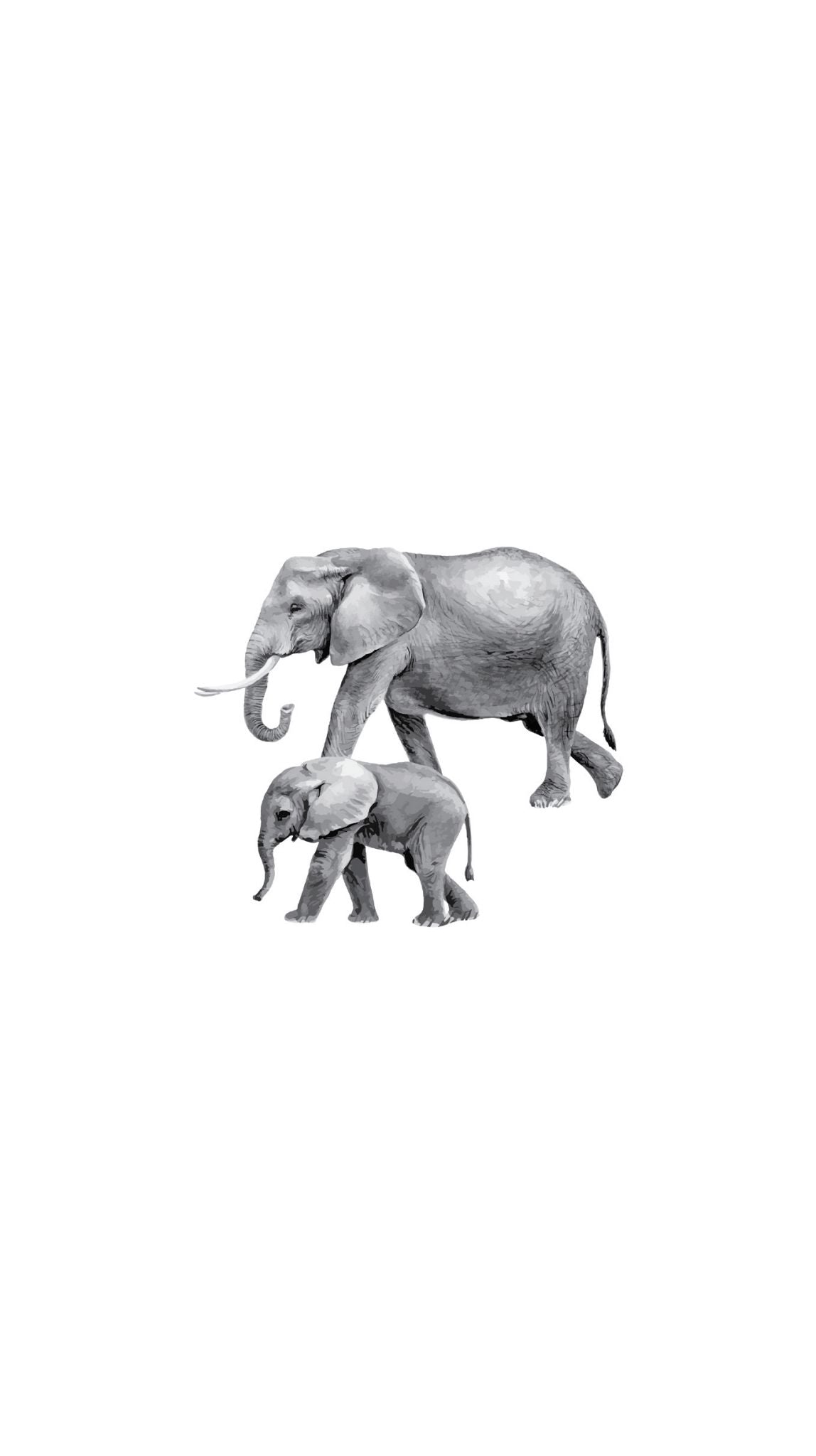 Elephants