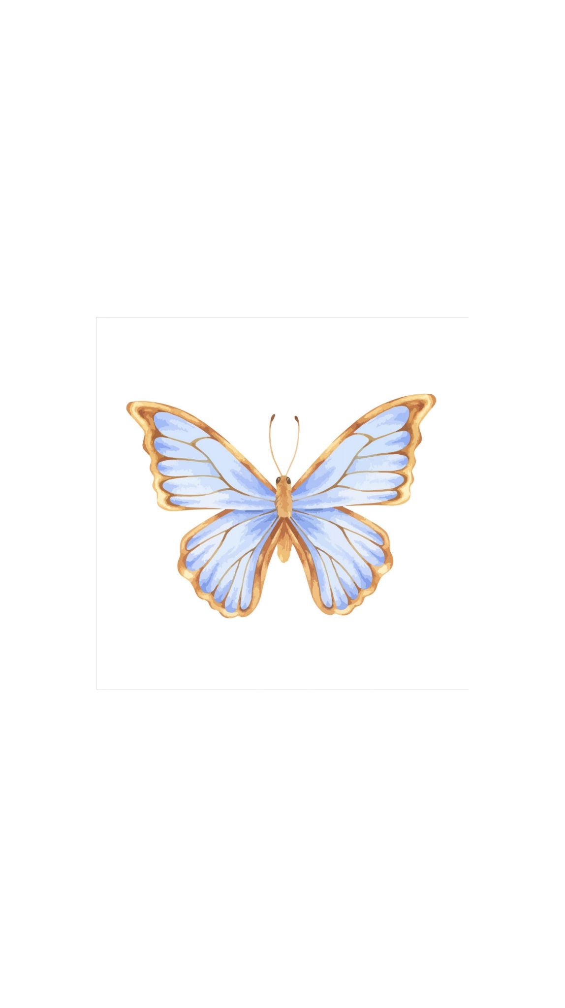 Gold Edged Butterfly Blue