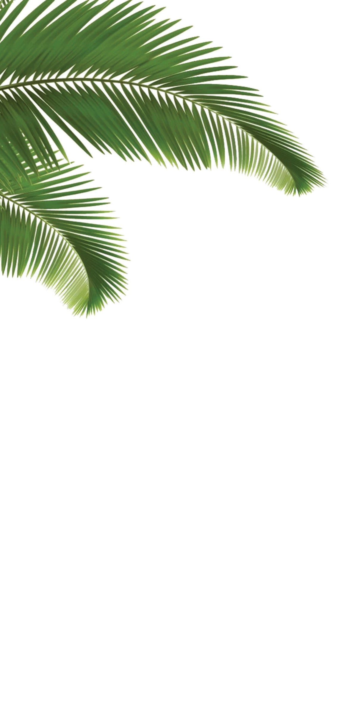 South Beach - Printed Guest Towel