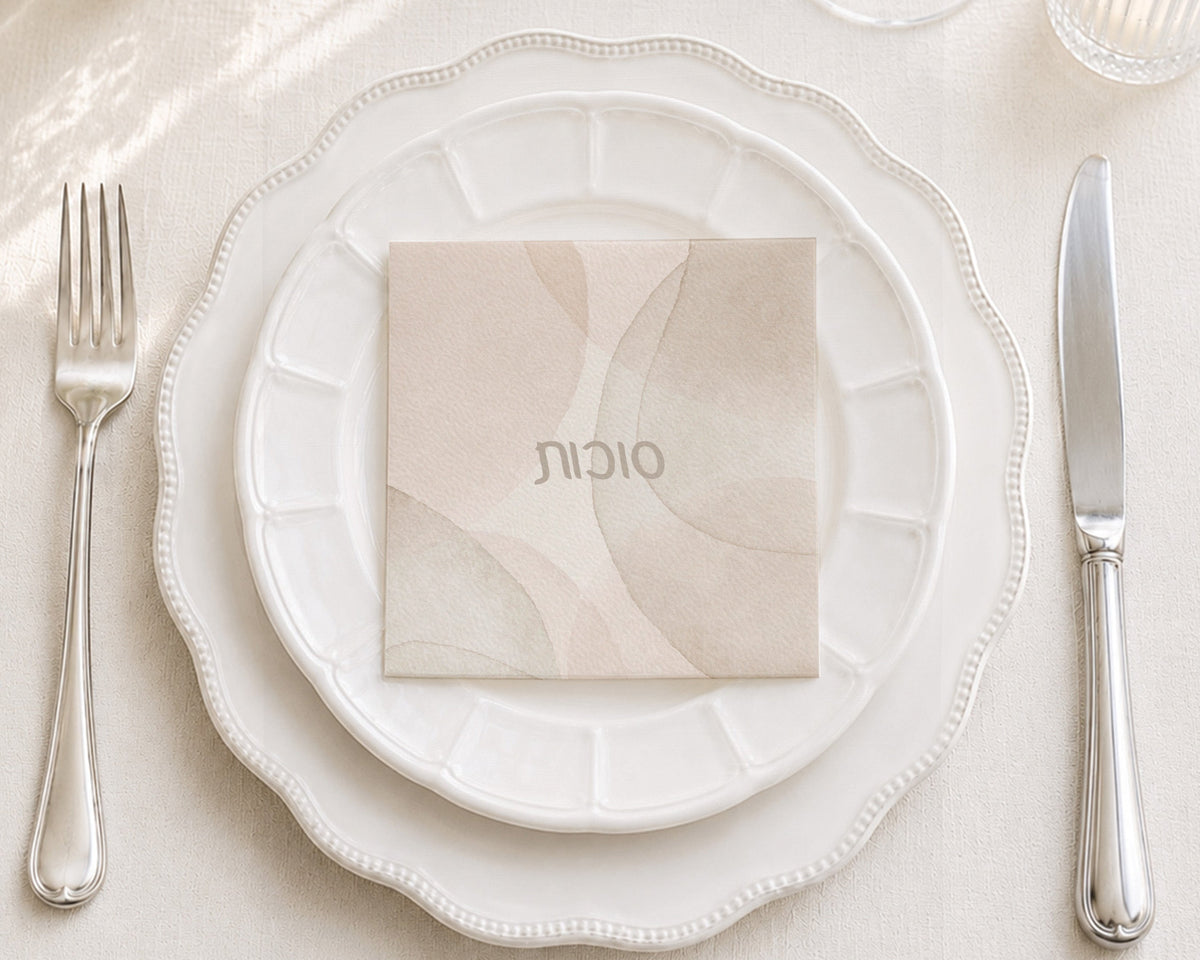 Terracotta Blush Cocktail Napkin
