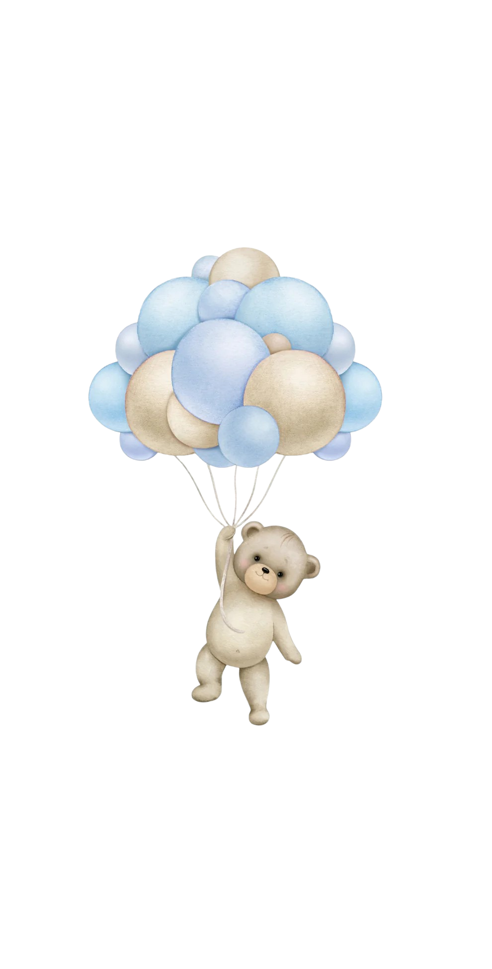 Teddy Blue - Printed Guest Towel