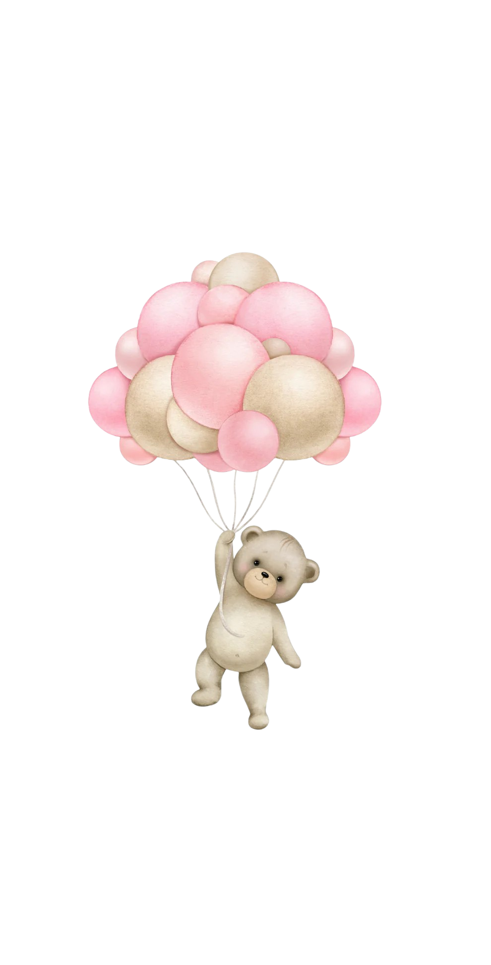 Teddy Pink - Printed Guest Towel