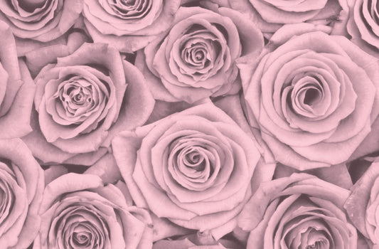 Blush Blossoms - Placemat