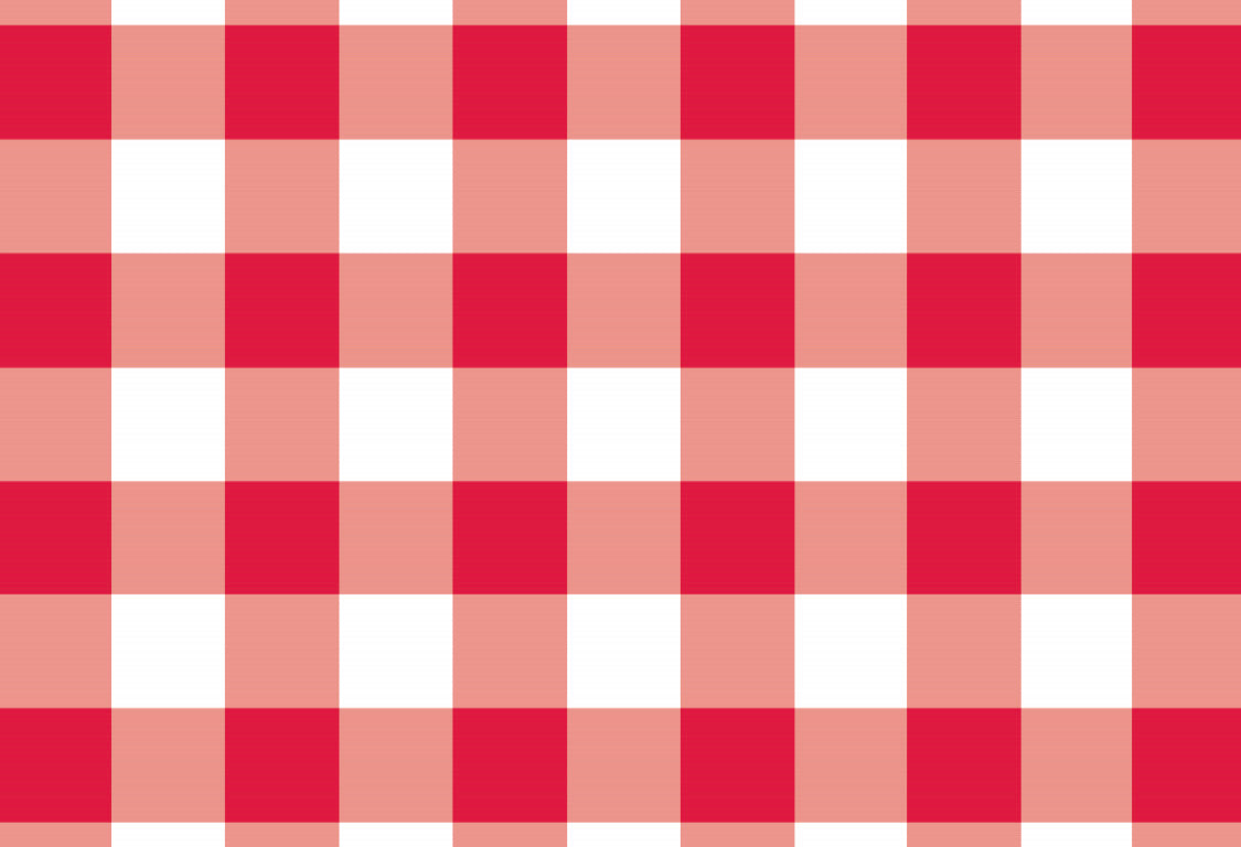 Gingham Red - Placemat