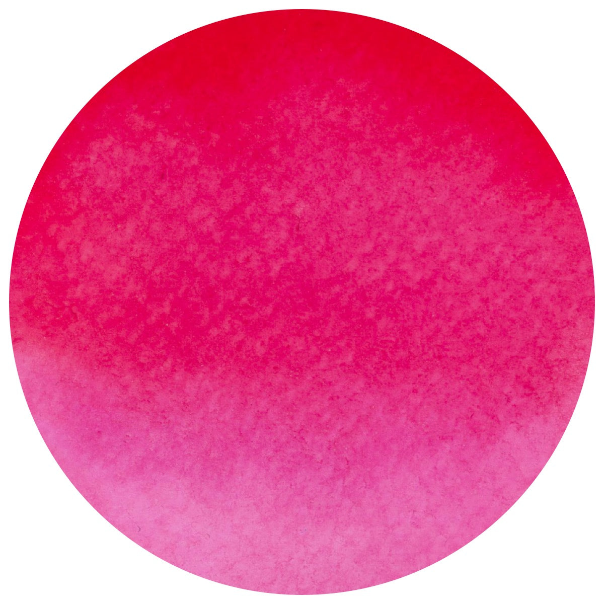 Watercolor Circle Fuchsia